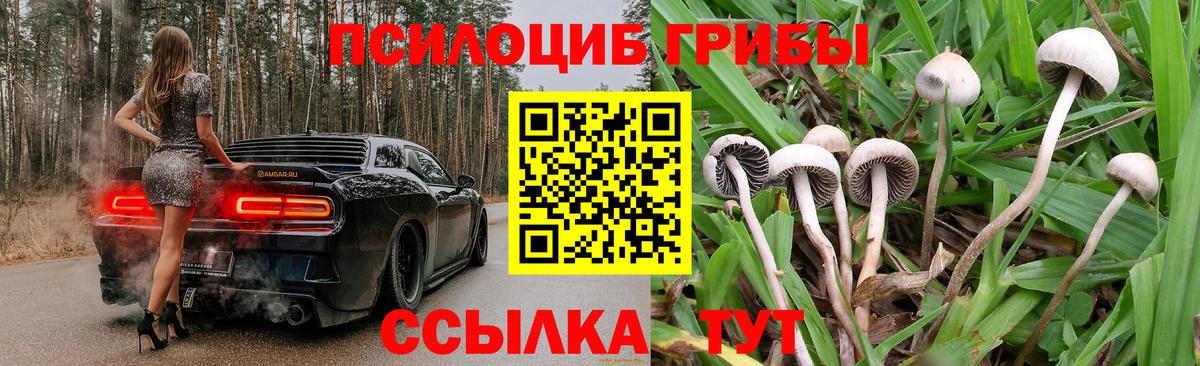 Псилоцибиновые грибы MAGIC MUSHROOMS Ейск