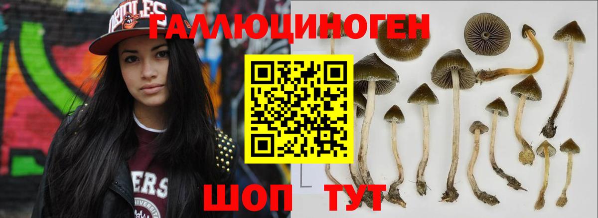 Галлюциногенные грибы GOLDEN TEACHER  Вход с VPN  Ейск 