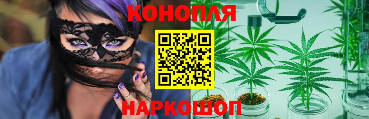 Канабис SATIVA & INDICA  Вход с VPN  Конопля семена  Бошки Шишки THC 21%  Ейск 